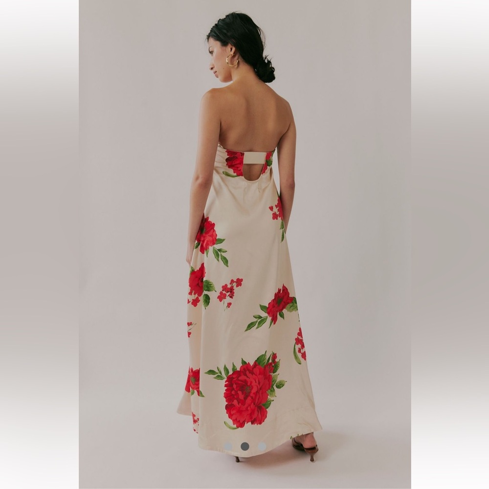 NWT Free People Botanical Maxi Dress in Tea Combo - Picture 5 of 8